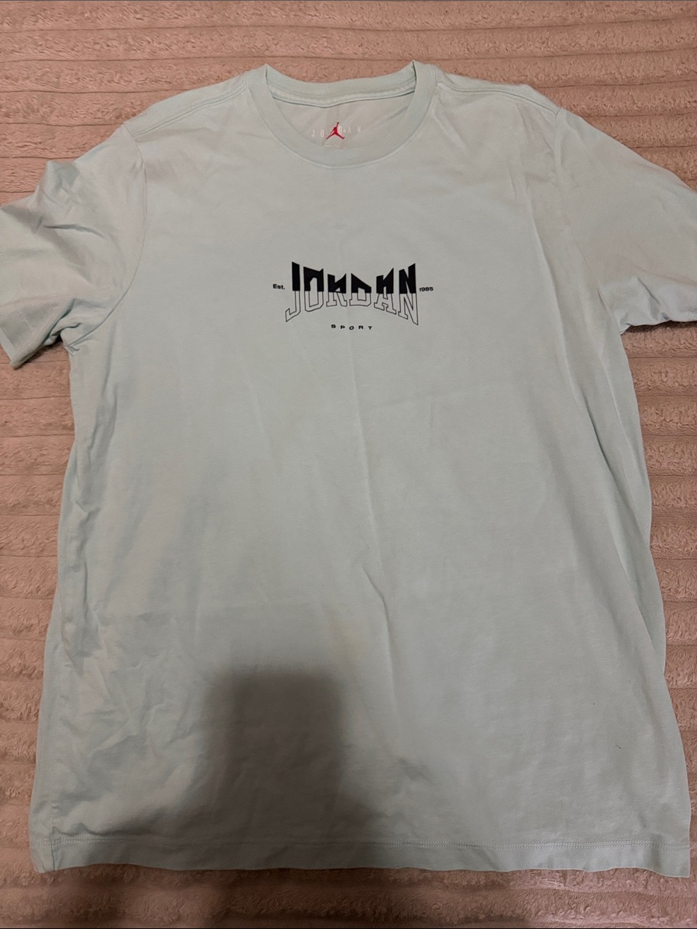 Jordan Light Blue Short Sleeve Logo Tee